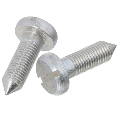 Винт петли двери ЗАЗ 965