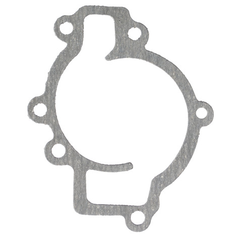 Прокладка водяного насоса ГАЗ 2410, 3102, 3110, УАЗ Прокладка водяного насоса ГАЗ 2410, 3102, 3110, УАЗ